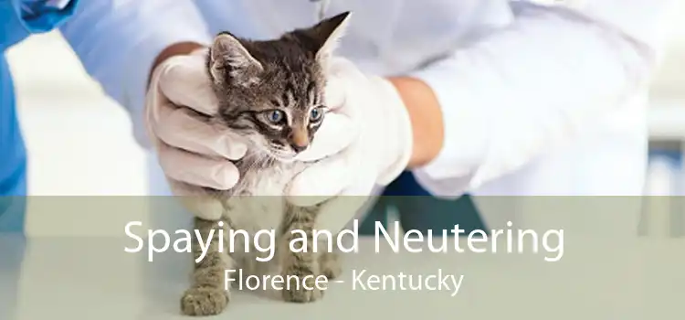 Spaying and Neutering Florence - Kentucky
