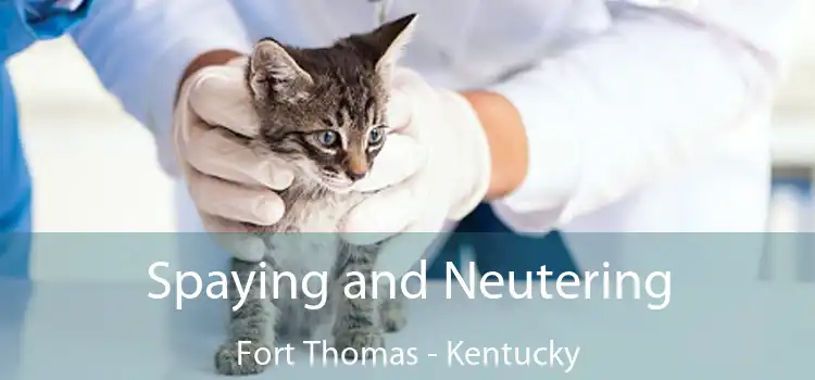 Spaying and Neutering Fort Thomas - Kentucky