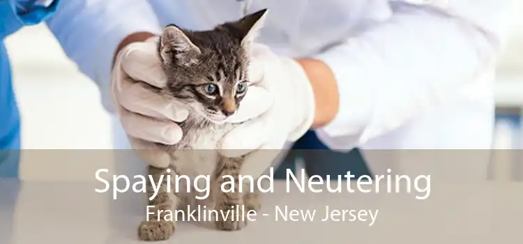 Spaying and Neutering Franklinville - New Jersey