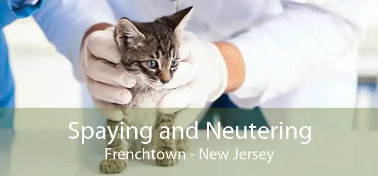 Spaying and Neutering Frenchtown - New Jersey