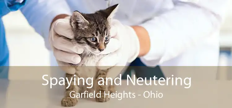 Spaying and Neutering Garfield Heights - Ohio
