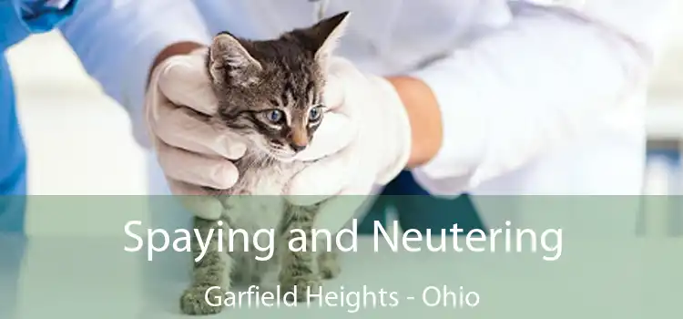 Spaying and Neutering Garfield Heights - Ohio