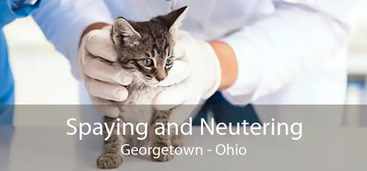Spaying and Neutering Georgetown - Ohio