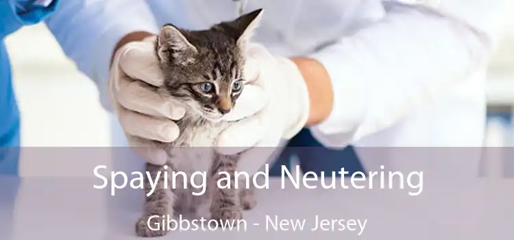 Spaying and Neutering Gibbstown - New Jersey
