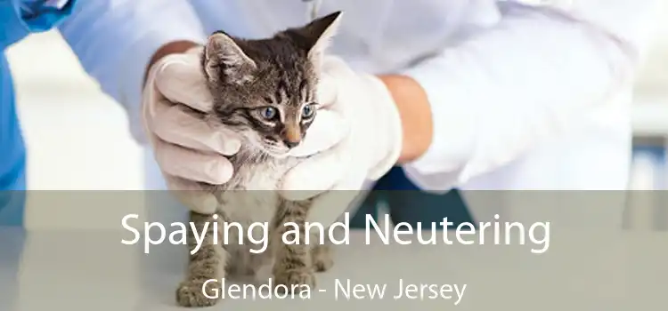 Spaying and Neutering Glendora - New Jersey