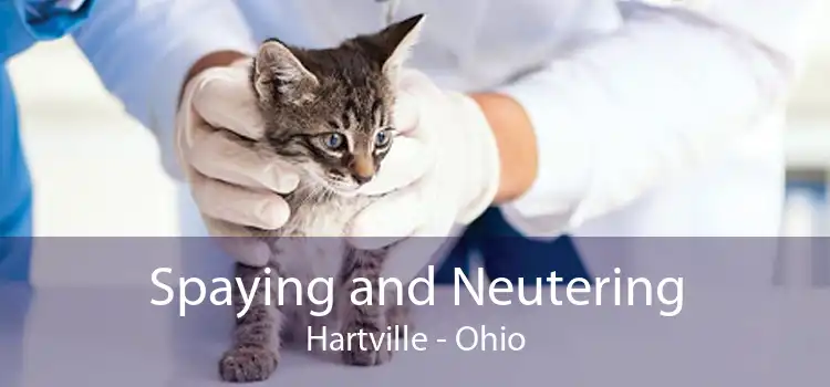 Spaying and Neutering Hartville - Ohio