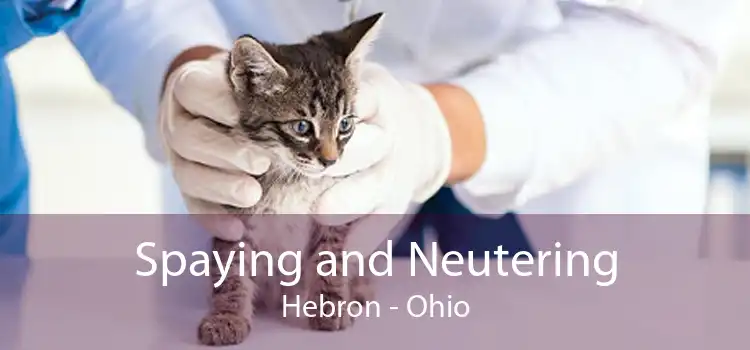 Spaying and Neutering Hebron - Ohio