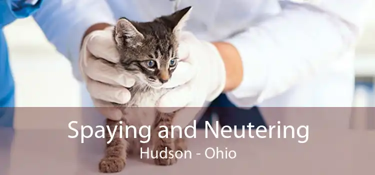 Spaying and Neutering Hudson - Ohio