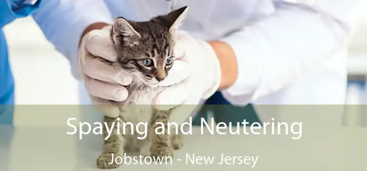 Spaying and Neutering Jobstown - New Jersey