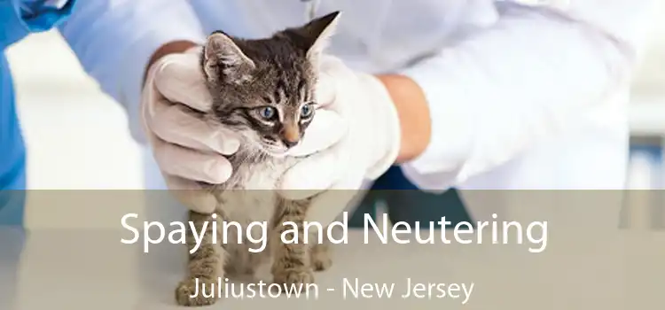 Spaying and Neutering Juliustown - New Jersey