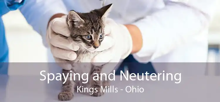 Spaying and Neutering Kings Mills - Ohio