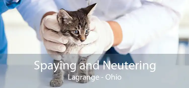 Spaying and Neutering Lagrange - Ohio