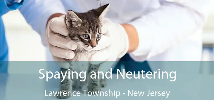Spaying and Neutering Lawrence Township - New Jersey