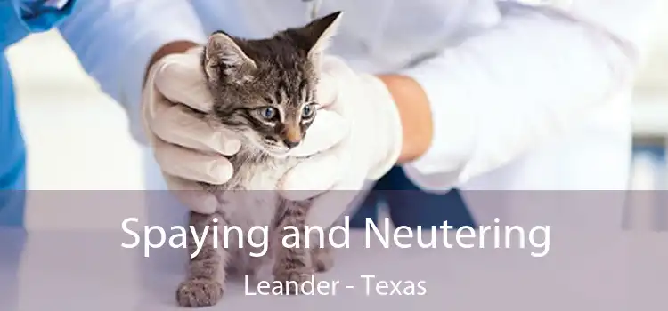 Spaying and Neutering Leander - Texas