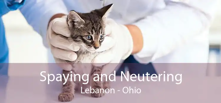 Spaying and Neutering Lebanon - Ohio