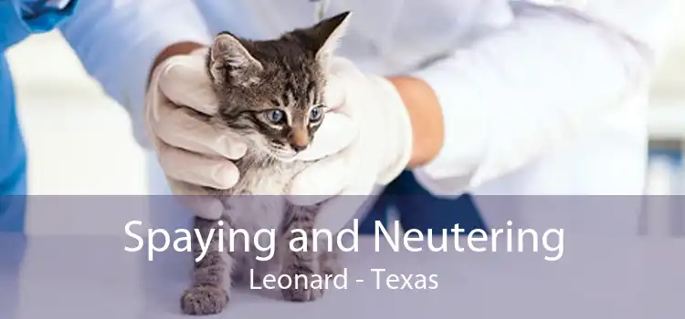 Spaying and Neutering Leonard - Texas