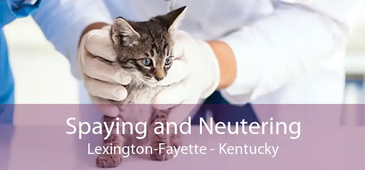 Spaying and Neutering Lexington-Fayette - Kentucky