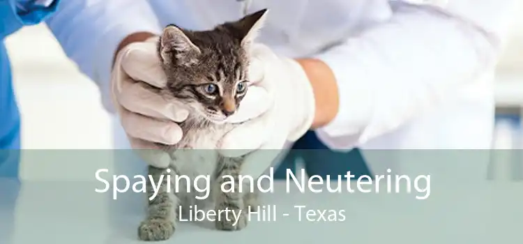 Spaying and Neutering Liberty Hill - Texas