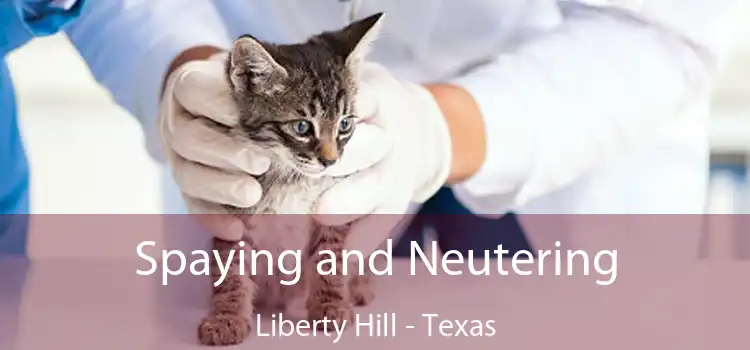 Spaying and Neutering Liberty Hill - Texas