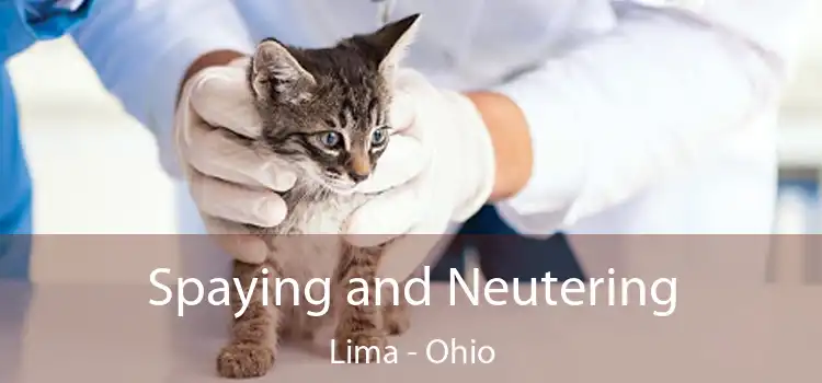 Spaying and Neutering Lima - Ohio