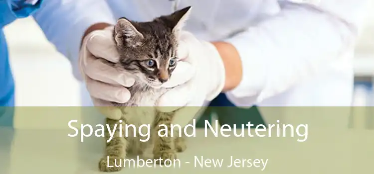 Spaying and Neutering Lumberton - New Jersey