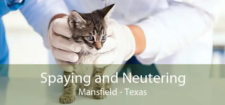 Spaying and Neutering Mansfield - Texas