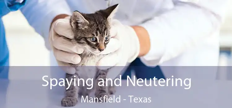 Spaying and Neutering Mansfield - Texas