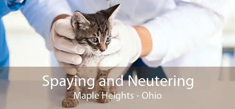 Spaying and Neutering Maple Heights - Ohio