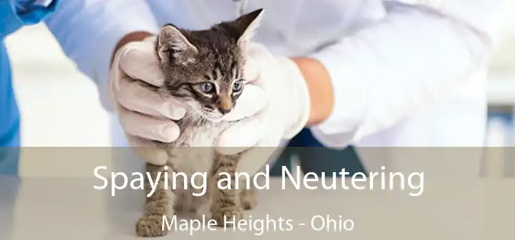 Spaying and Neutering Maple Heights - Ohio