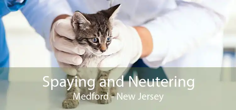 Spaying and Neutering Medford - New Jersey