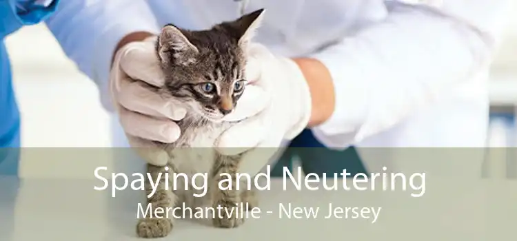 Spaying and Neutering Merchantville - New Jersey
