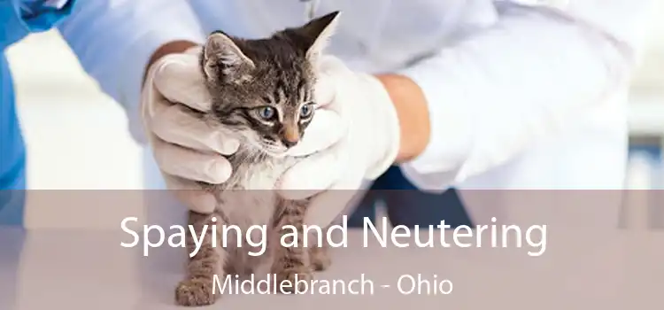 Spaying and Neutering Middlebranch - Ohio