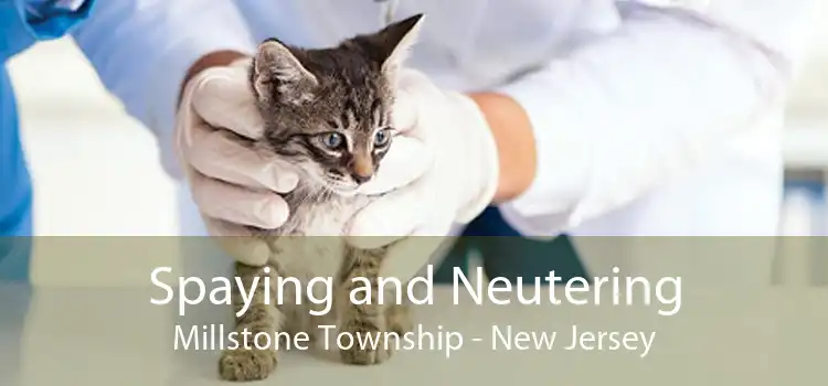 Spaying and Neutering Millstone Township - New Jersey
