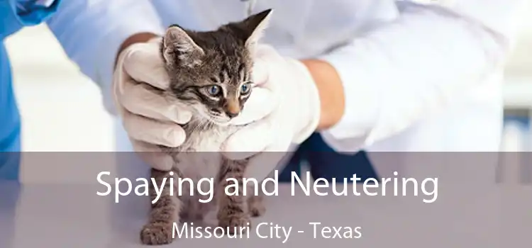 Spaying and Neutering Missouri City - Texas