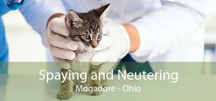 Spaying and Neutering Mogadore - Ohio