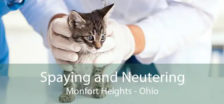 Spaying and Neutering Monfort Heights - Ohio