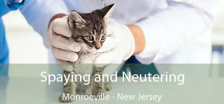 Spaying and Neutering Monroeville - New Jersey