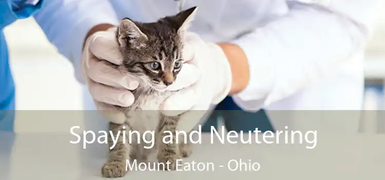 Spaying and Neutering Mount Eaton - Ohio