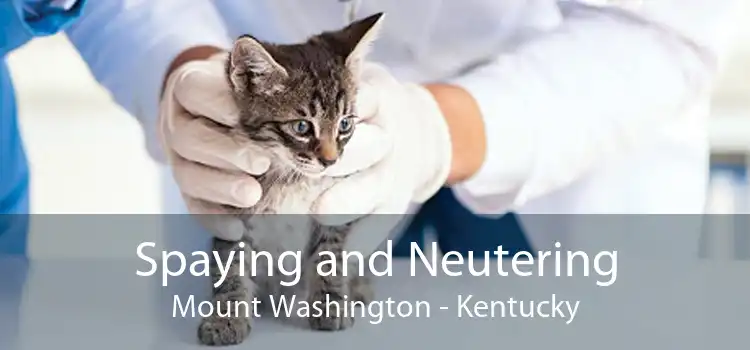 Spaying And Neutering Mount Washington - Low Cost Pet Spay And Neuter Clinic