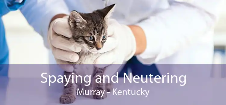 Spaying and Neutering Murray - Kentucky