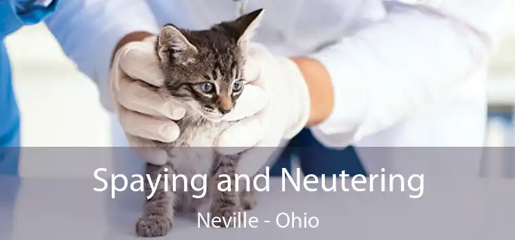 Spaying and Neutering Neville - Ohio