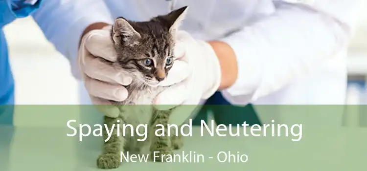 Spaying and Neutering New Franklin - Ohio