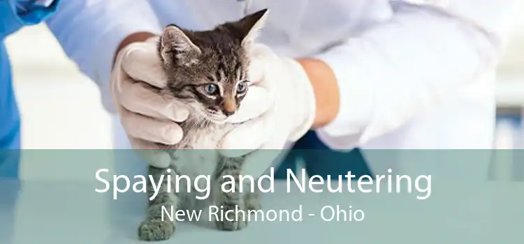 Spaying and Neutering New Richmond - Ohio