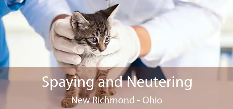Spaying and Neutering New Richmond - Ohio