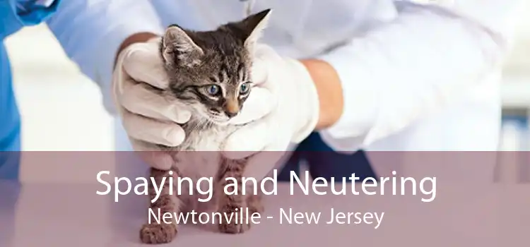 Spaying and Neutering Newtonville - New Jersey