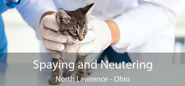 Spaying and Neutering North Lawrence - Ohio