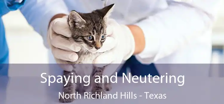 Spaying and Neutering North Richland Hills - Texas