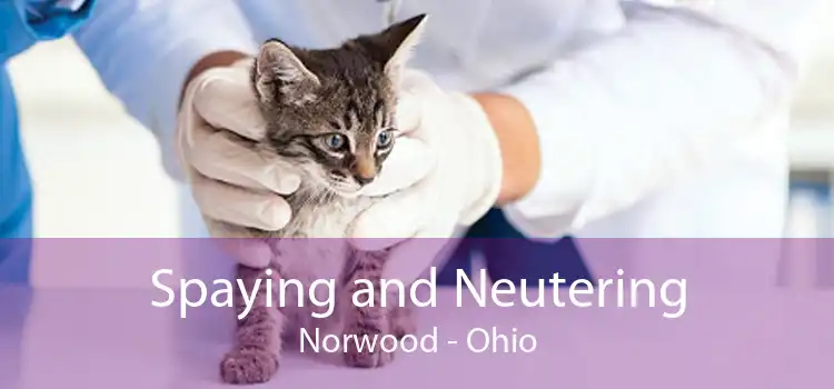 Spaying and Neutering Norwood - Ohio