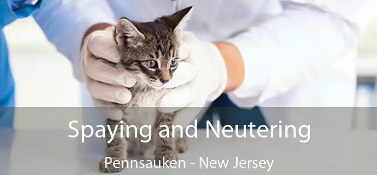 Spaying and Neutering Pennsauken - New Jersey
