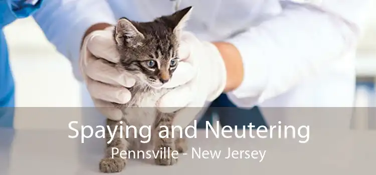 Spaying and Neutering Pennsville - New Jersey